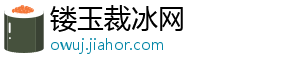 镂玉裁冰网